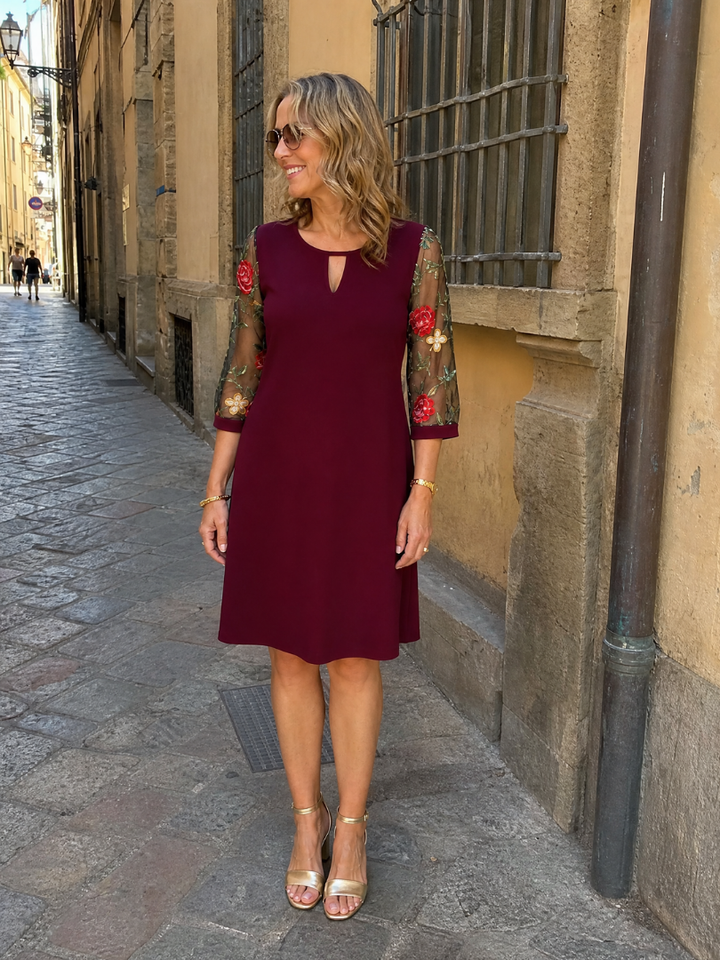Iyora | Embroidered Mesh Sleeve Mini Dress